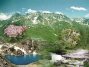 Biyolojik çeşitlilik hedefi tutmadı