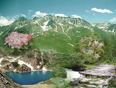 Biyolojik çeşitlilik hedefi tutmadı