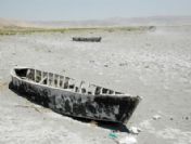 Esenlik Kanalı, Erguvan ağaçlarıyla renklendi