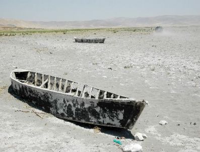 Esenlik Kanalı, Erguvan ağaçlarıyla renklendi