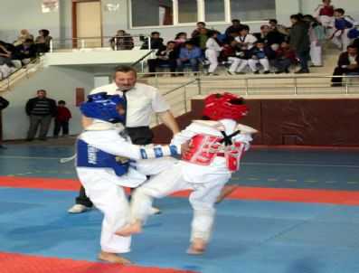 Gençler Taekwondo Şampiyonası Aydın'da Yapılacak