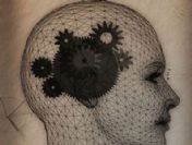 Gençlerin kaza yapma sebebi beyinle ilgili mi?