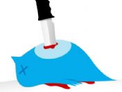 Twitter'ı Hackleyen Türk'ün dünya basınındaki yeri