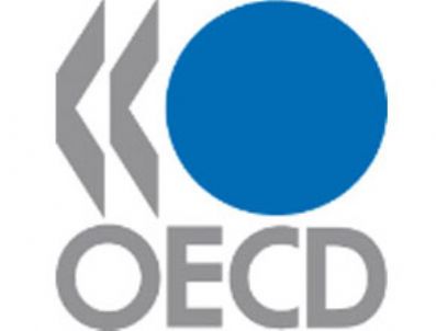 DAVOS - Alkayış'dan Oecd'ye Veto
