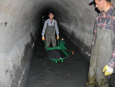 GIYOTIN - Büyük Kanal'da Büyük Temizlik Sürüyor