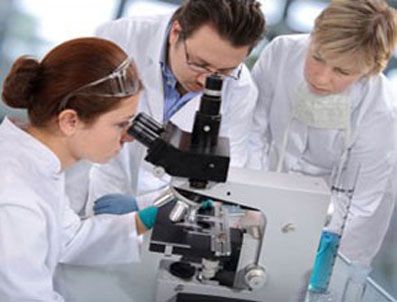 ROCKEFELLER - Kelliğe kalıcı çözüm bulma umudu doğdu