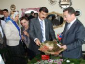 İbo Osman Seymer'in Yılsonu Sergisi Açıldı