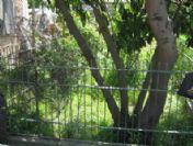 Akyazı'nın Ömercikler Mahallesi Tekke Sokağında Bulunan Üç Şehit Dualarla Anıldı