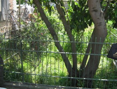 YAŞAR YAZıCı - Akyazı'nın Ömercikler Mahallesi Tekke Sokağında Bulunan Üç Şehit Dualarla Anıldı