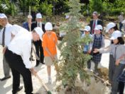 Beylikdüzü'nde 450 Ağaç Toprakla Buluştu