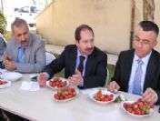 Ak Parti Malatya Milletvekili Faruk Öz, Kale'de İnceleme Yaptı
