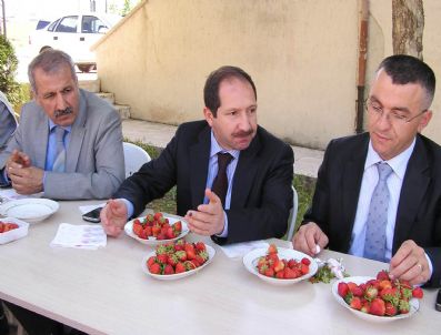 ÖMER FARUK ÖZ - Ak Parti Malatya Milletvekili Faruk Öz, Kale'de İnceleme Yaptı