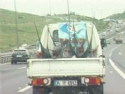 E-5'ten Bir Kamyonet Dolusu Kılıçbalığı Geçerse Ne Olur?