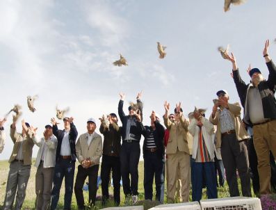 NIYAZI TANıLıR - Kınalı Keklikler Özgürlüğe Uçtu