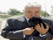 Sokak Hayvanlarına Göl Manzaralı Barınak