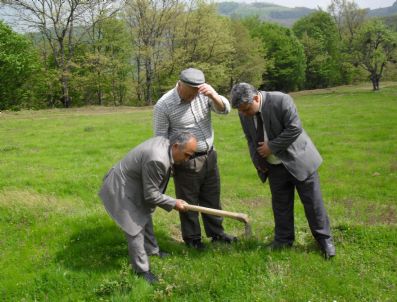 TOSUNLAR - Devrek'in Köylerinde Çekirge İle Mücadele Başladı