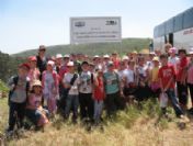 Doruk'lu Öğrenciler 250 Adet Zeytin Fidanı Diktiler