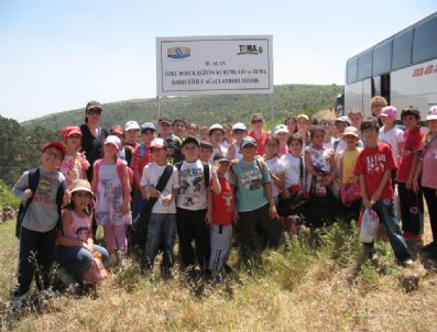 Doruk'lu Öğrenciler 250 Adet Zeytin Fidanı Diktiler