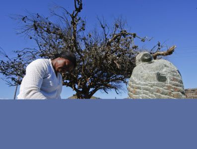 South Afrıca Fıfa 2010 World Cup Arts Feature