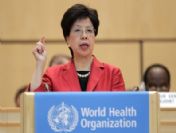 Swıtzerland Who Assembly