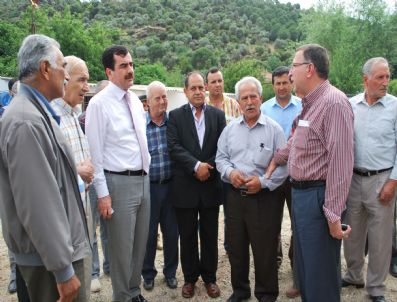 TMO - Tmo Buğday Alımlarına Başlıyor, Pamuk Primleri Haziran'da