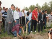 Her Engelli İçin Bir Fidan Dikildi