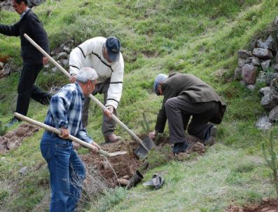 YAMAÇLı - Melikgazi Belediyesi Ağaçlandırma Çalışmalarını Sürdürüyor