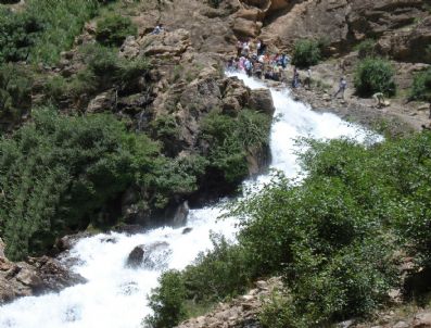 Van Sanatçılar Derneği'nden Piknik Organizasyonu