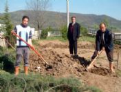 Balya'da Yeşil Seferberliği