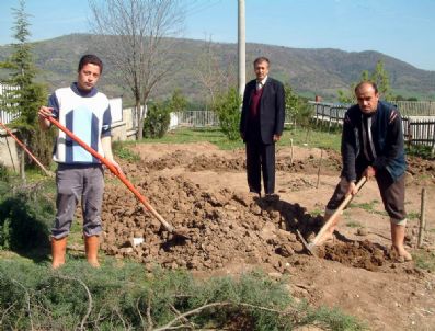 Balya'da Yeşil Seferberliği