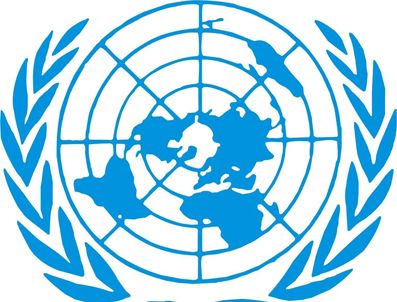 BM Demokratik Kongo'da katliam iddialarını araştırıyor