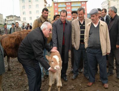 ENSAR ÖĞÜT - Chp Ardahan Milletvekili Öğüt Et İthali Kararını Değerlendirdi