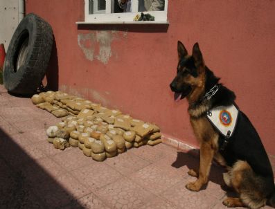 ZENGEN - Kamyonun Lastiğinde 60 Kilo Toz Esrar Çıktı