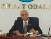 Tzob'tan Canlı Hayvan Ve Kırmızı Et İthalatı Analizi