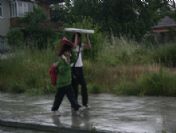 Düzce'de Yağışlar Etkili Oluyor