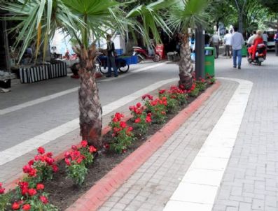 Erdek Güllerle Süslendi