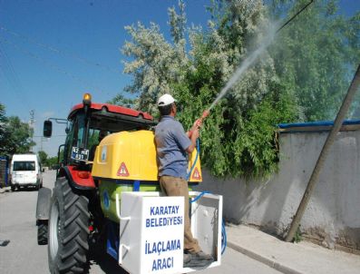 Karatay'da Haşereyle Mücadele Sürüyor