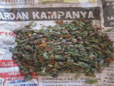 Marmaris'te Sahte Para Operasyonu