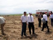 Mucur'da 5 Fidan Toprakla Buluştu