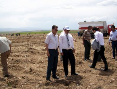 Mucur'da 5 Fidan Toprakla Buluştu