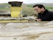 Afghanıstan Germany