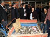 Balıkçı Esnafına Ani Denetim