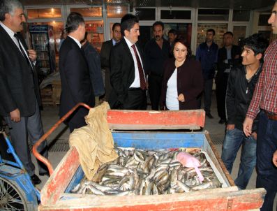 NURULLAH ERTAŞ - Balıkçı Esnafına Ani Denetim