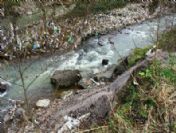 Ağasar Deresi'nin Temizliği İçin Trabzon Valiliği Proje Başlatıyor