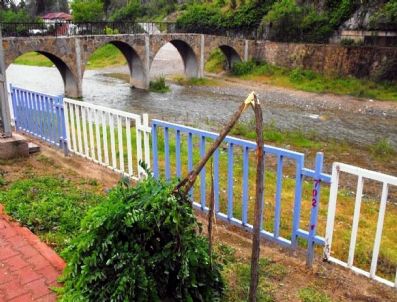 CENGIZ TOPEL İLKÖĞRETIM OKULU - Akasya Ağaçları Şehir Magandalarının Hedefi Oldu