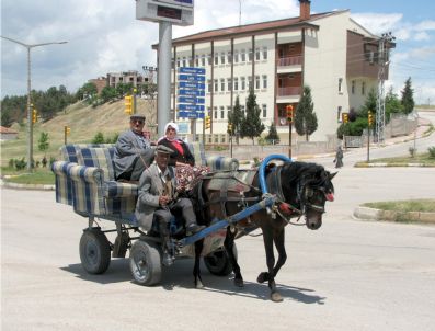Atlı Saadet