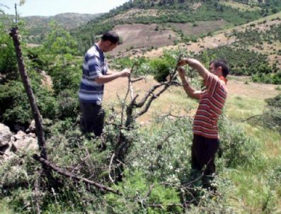 Köyde Kalkındırma İmecesi