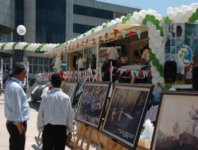 TAŞAĞıL - Felaketin Sergisi