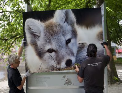 Netherlands Wıld Wonders Exhıbıtıon