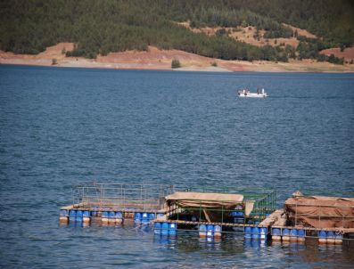 AKBELEN - Tokat'ta Bazı Gölet Ve Barajlarda Balık Tutmak Yasaklandı